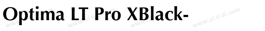 Optima LT Pro XBlack字体转换